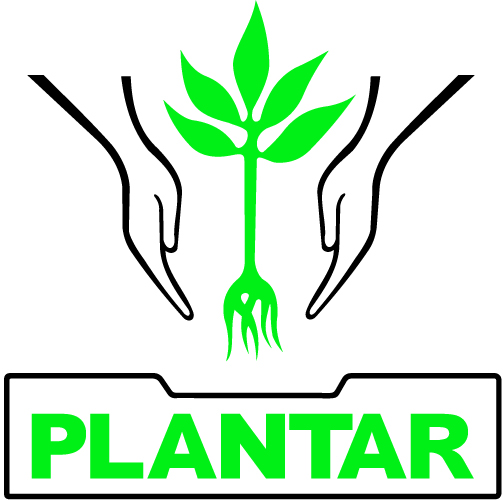 Plano de Manejo Florestal - Plantar S/A